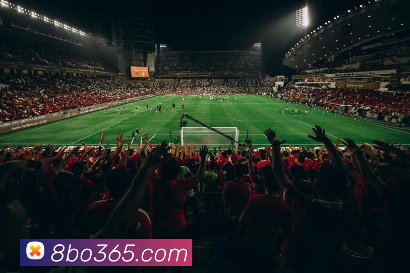 多媒体互动体验