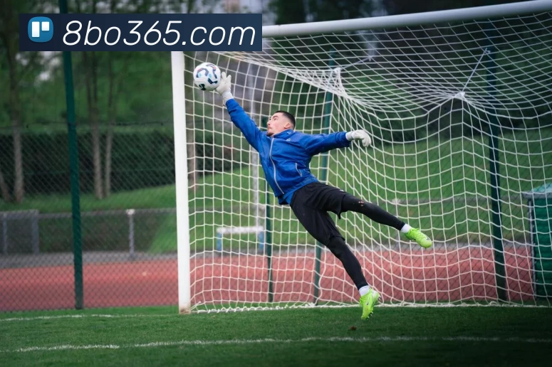 8博体育APP 体育赛事宣传图